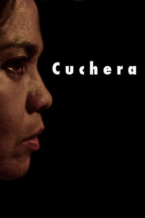 Poster Cuchera 2011