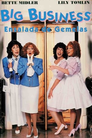 Poster Ensalada de gemelas 1988