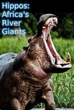 Poster Hippos: Africa's River Giants 2019