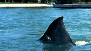 Tiburón 3 (1983)