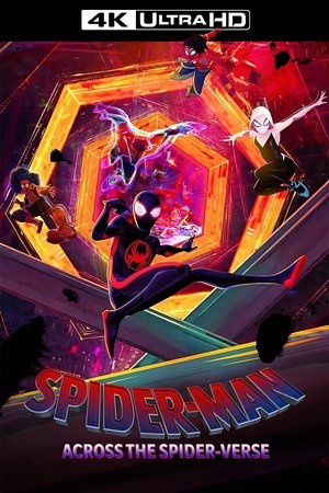 poster Spider-Man: Across the Spider-Verse