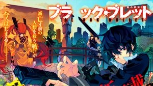 Black Bullet (Temporada 1) HD 1080P SUBTITULADO