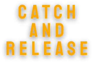 Catch and Release