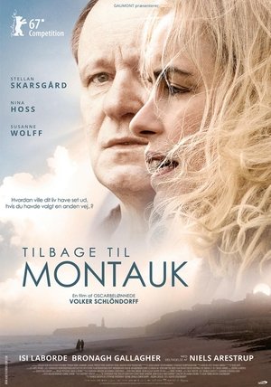 Poster Tilbage Til Montauk 2017