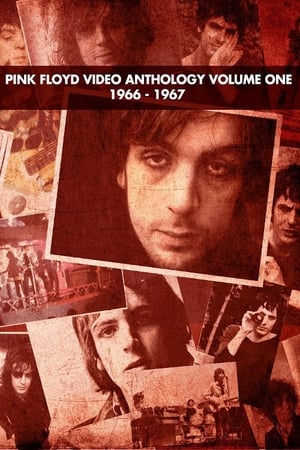 Poster Pink Floyd:  Video Anthology Vol. 1 2004