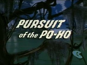 Image Pursuit of the Po-Ho