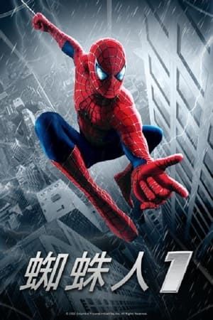 Poster 蜘蛛侠 2002
