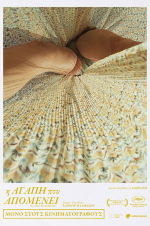 Η Αγάπη που Απομένει (2025)