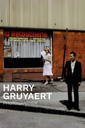 Poster Harry Gruyaert. Photographer (2018)