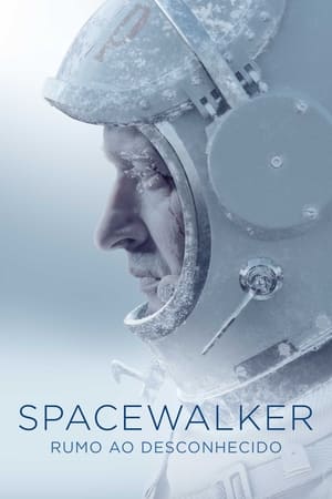 Assistir Spacewalker: Rumo ao Desconhecido Online Grátis