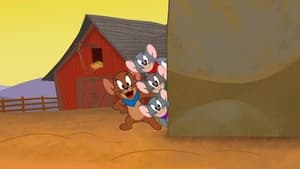 Tom & Jerry no Velho Oeste