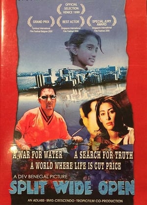 Poster Split Wide Open (1999)