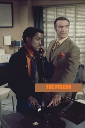 The Pigeon 1969