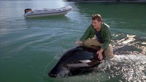 Free Willy 3: The Rescue