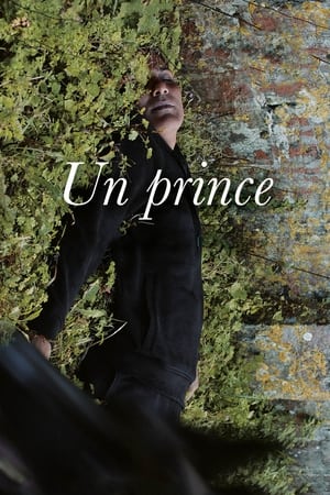 Image A Prince