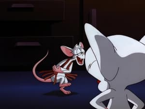 Pinky and the Brain Brainy Jack