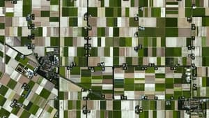 Spaceship Earth From Dutch soil
