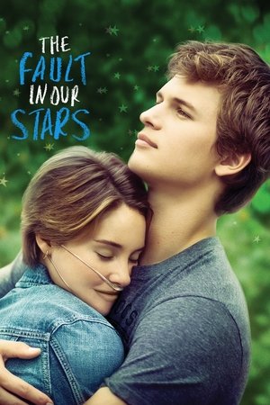 The Fault in Our Stars 2014