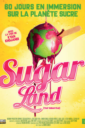Poster Sugarland 2014