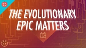 Crash Course Big History Why the Evolutionary Epic Matters