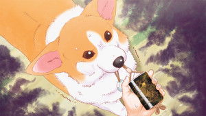 The Corgi and the Samurai: 1×6
