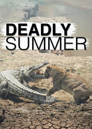 Deadly Summer 4