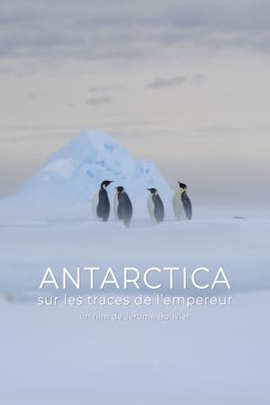 Poster Antarctica, sur les traces de l'empereur 2016