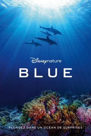 Dolphin Reef 26