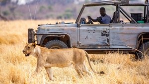 Episode 6 | StreamHub