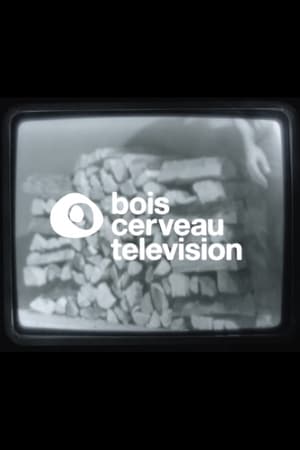 BOIS CERVEAU TV (1) 2020