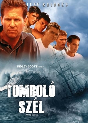 Poster Tomboló szél 1996