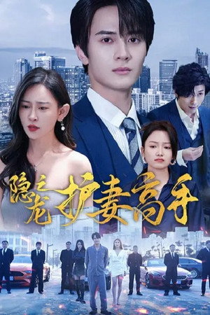 隐龙之护妻高手 - Season 1