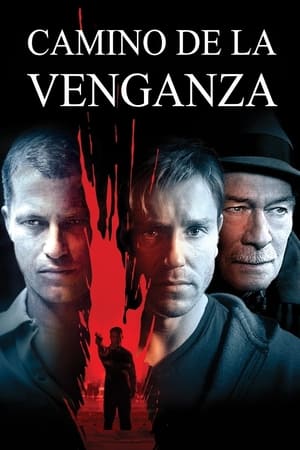 Poster Camino de la venganza 2007