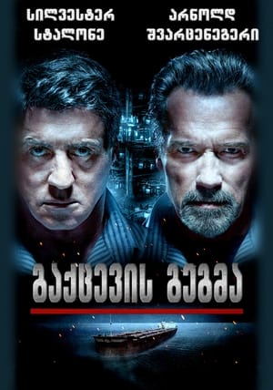 Poster გაქცევის გეგმა 2013