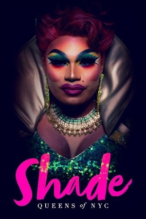 Image Shade: Queens of NYC