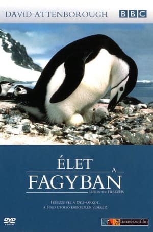 Poster Élet a fagyban 1993