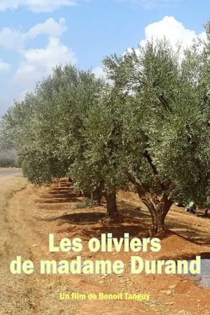 Poster Les oliviers de madame Durand 2008