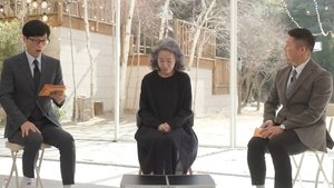 Épisode 146