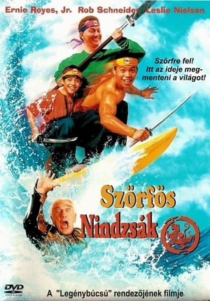 Poster Szörfös nindzsák 1993