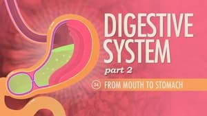 Crash Course Anatomy & Physiology Digestive System, Part 2