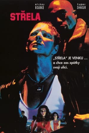 Střela (1996)