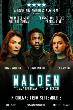 Walden (2021) | Team Personality Map