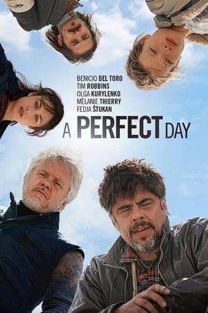 Poster A Perfect Day 2015