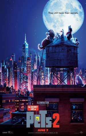 <Images posters