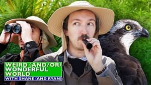 Shane & Ryan Go Birdwatching