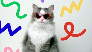 En thérapie avec mon chat S1E1