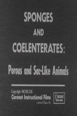 Image Sponges and Coelenterates: Porous and Sac-Like Animals