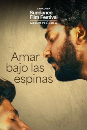 poster_Amar bajo las espinas
