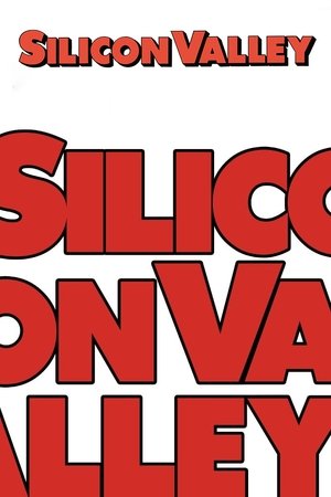 Silicon Valley: Temporada 6