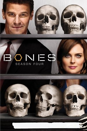 Bones Season 4